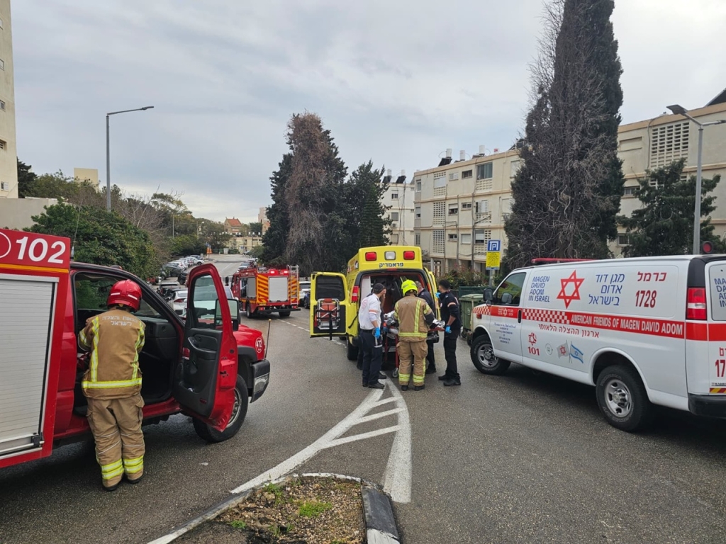 פורטל הכרמל