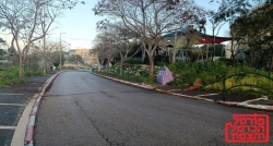 מי ישלם את המחיר על מס קרקעות?