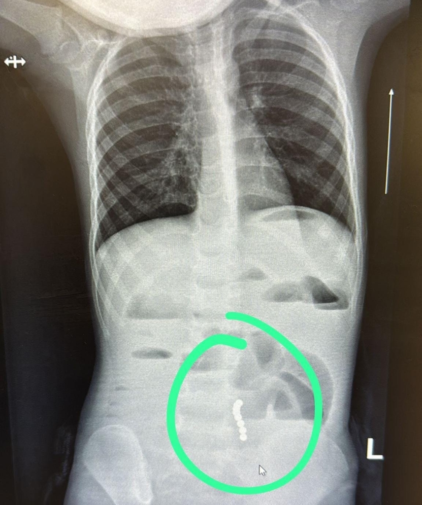 פורטל הכרמל