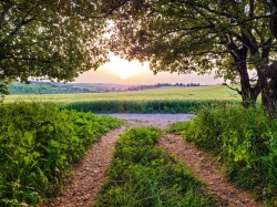 פסטיבל מגידו יוצאים לדרך