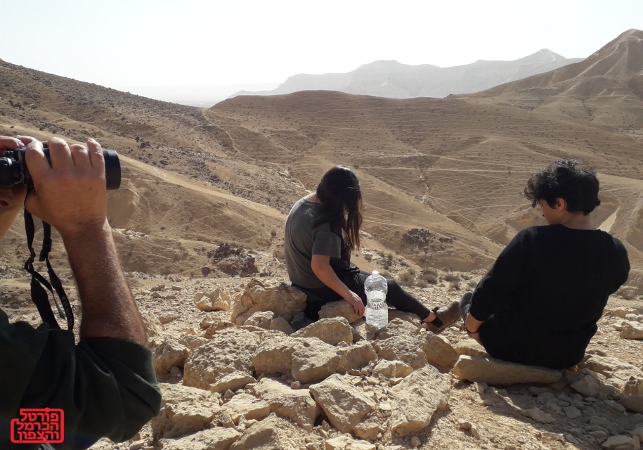 השפעת הטכנולוגיה על פערי השכר בישראל