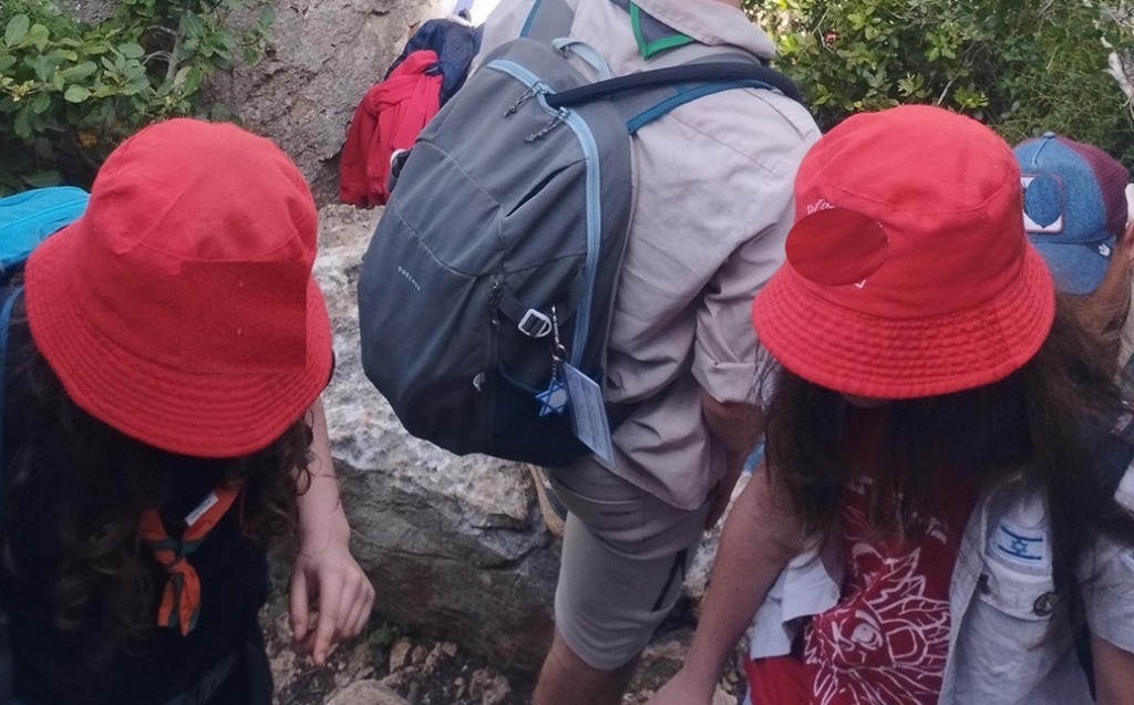 הנפגעים והפוגעים הקטינים שאותרו ברשת