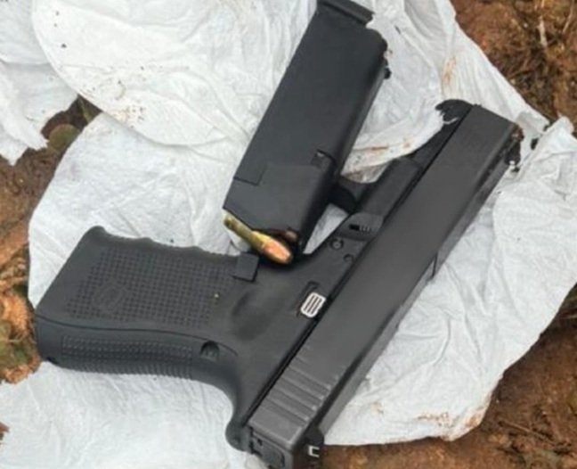 פורטל הכרמל