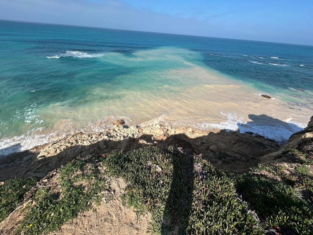 פורטל הכרמל