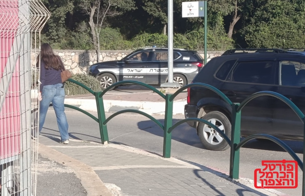 פורטל הכרמל