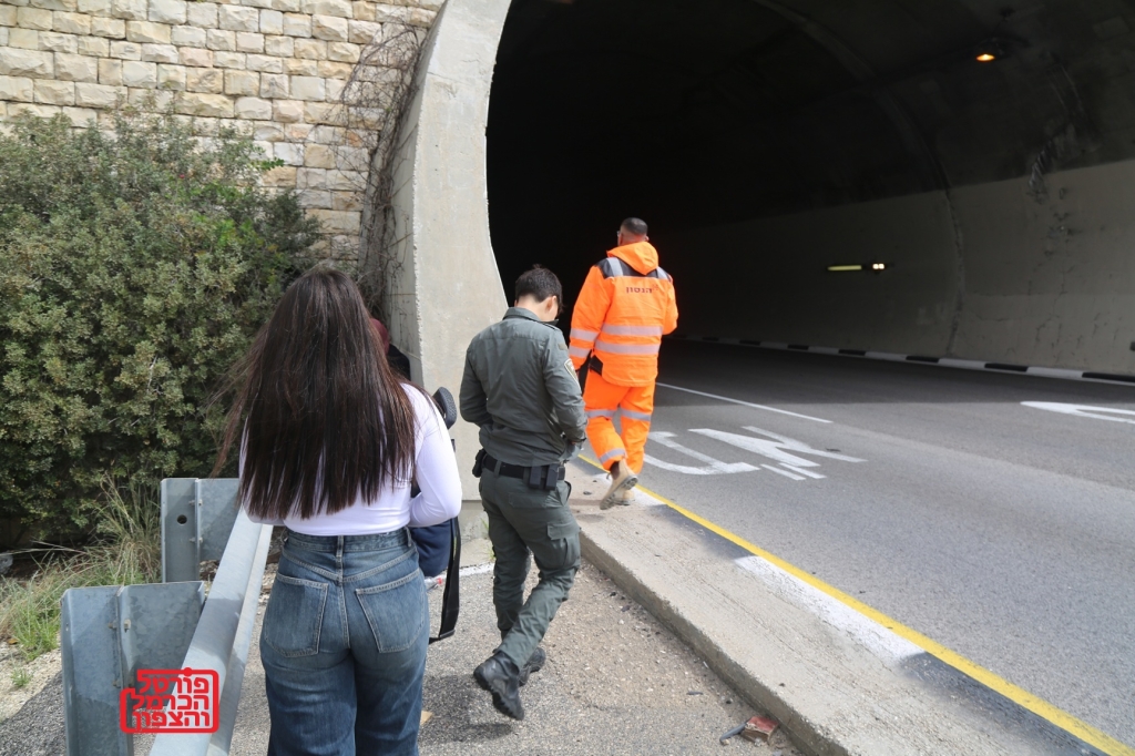 פורטל הכרמל