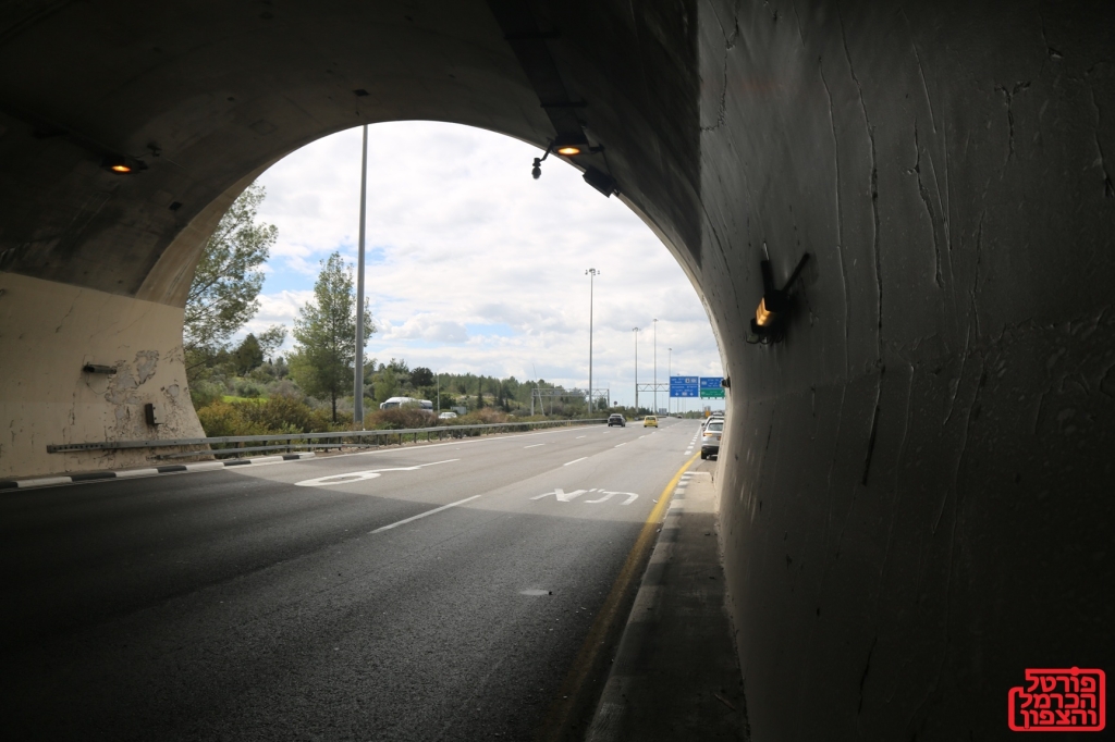 פורטל הכרמל