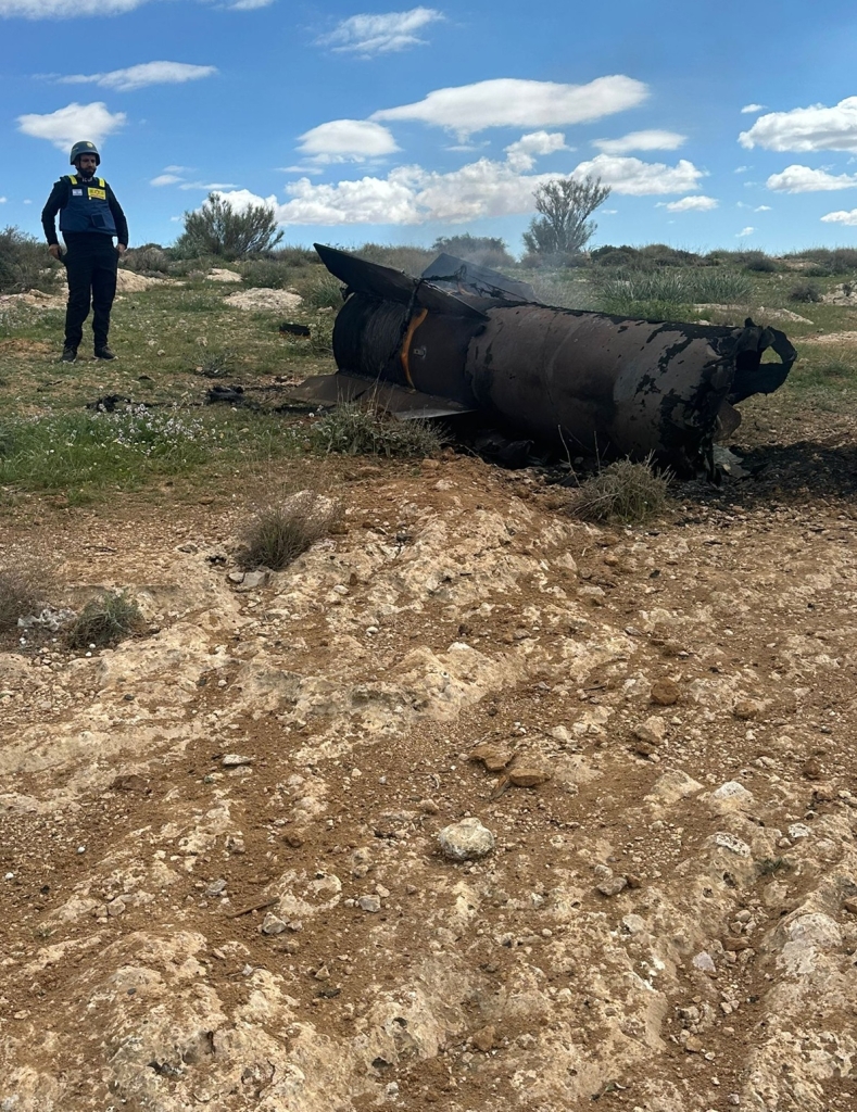 פורטל הכרמל