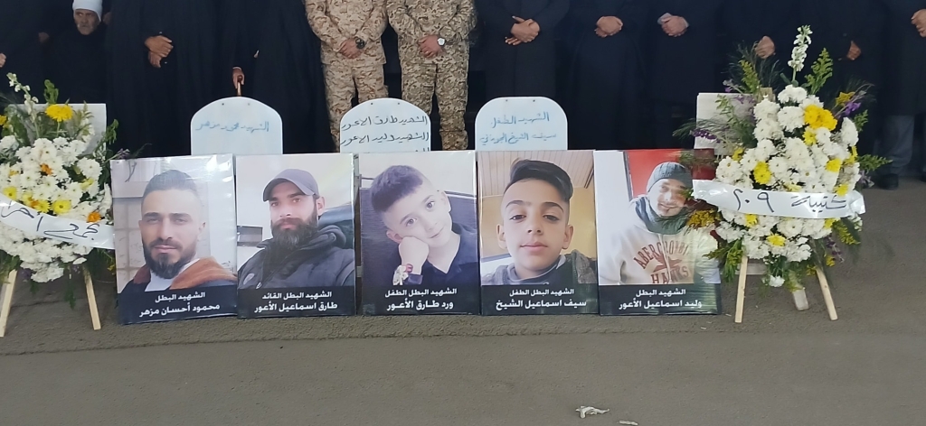 פורטל הכרמל