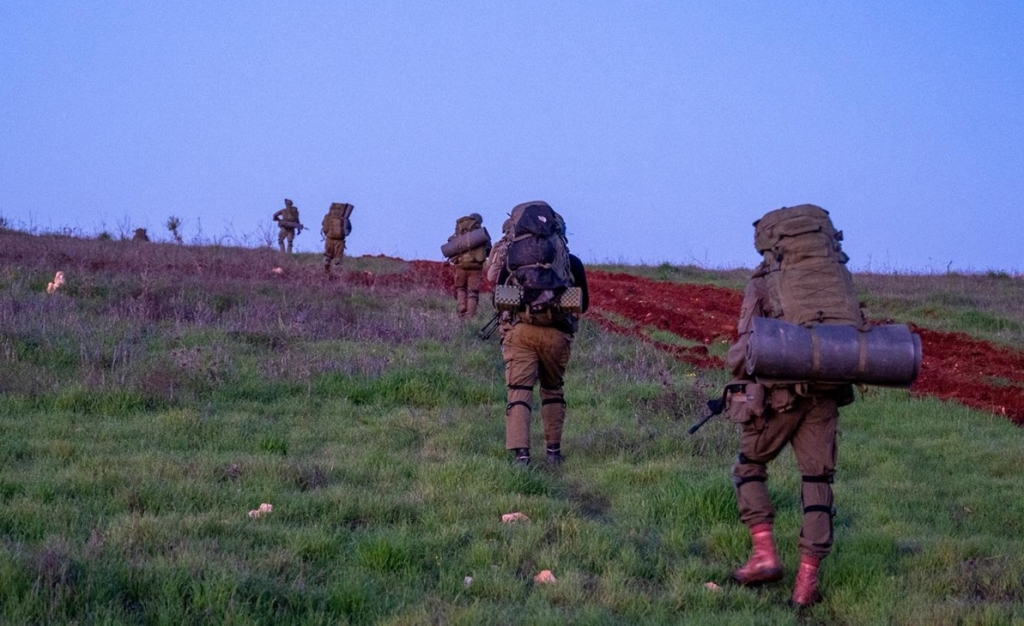 פורטל הכרמל