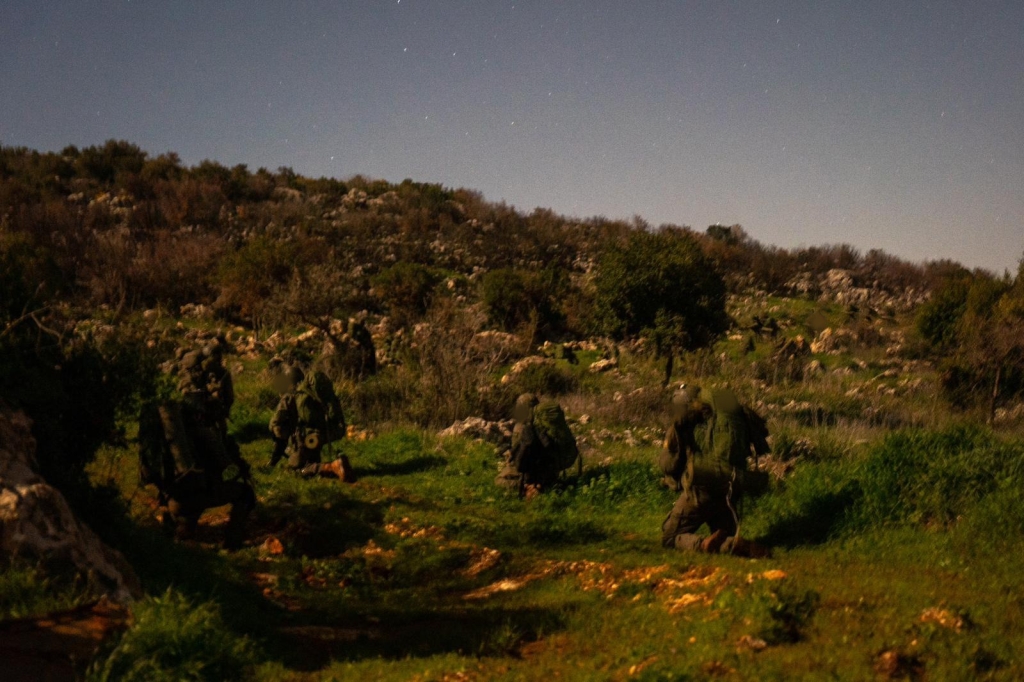 פורטל הכרמל