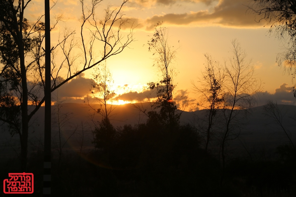 פורטל הכרמל