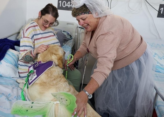 פורטל הכרמל