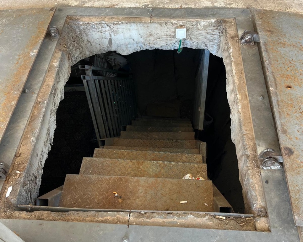 פורטל הכרמל