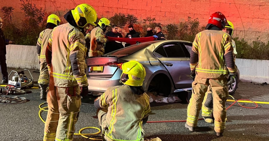 פורטל הכרמל