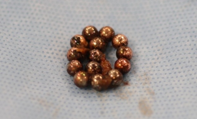 פורטל הכרמל