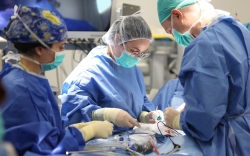 פעוט עבר ניתוח חירום אחרי שבלע שרשרת מגנטים