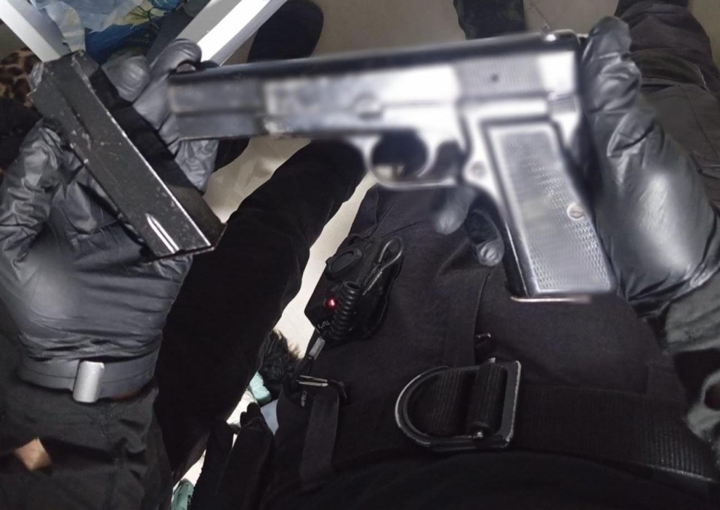 פורטל הכרמל