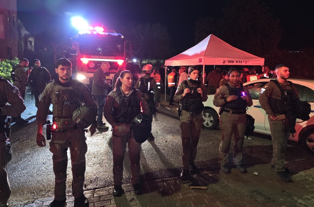 פורטל הכרמל