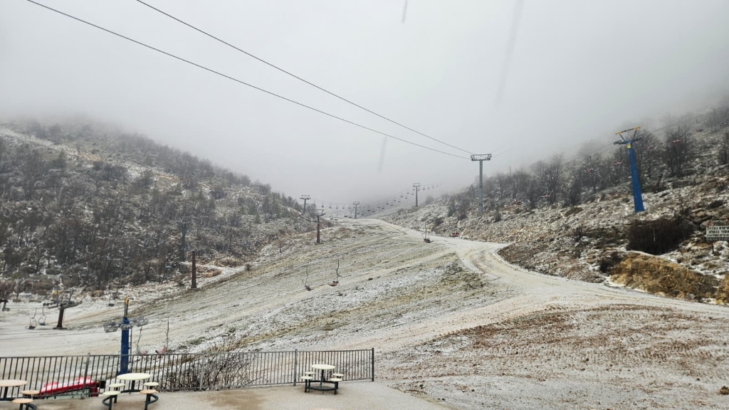 פורטל הכרמל