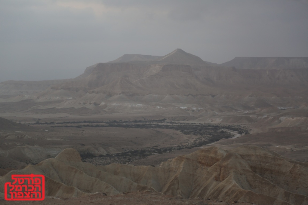 מסרון השבוע מפרשת ויקרא