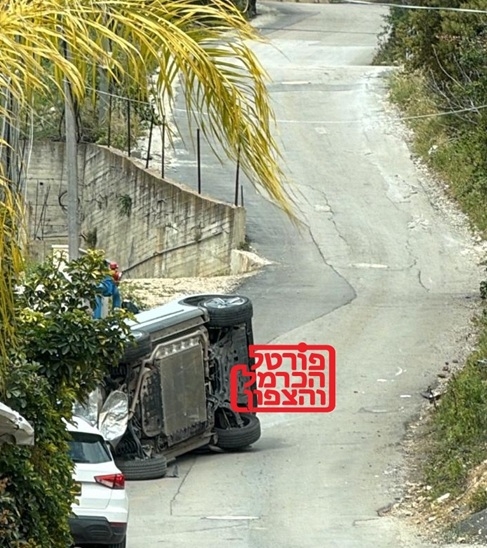 פורטל הכרמל