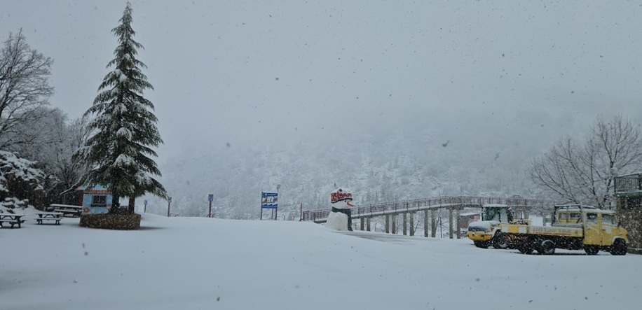 פורטל הכרמל