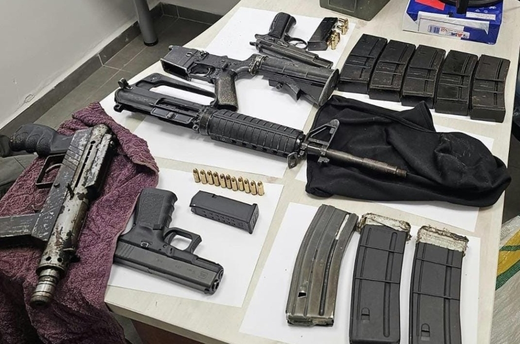 פורטל הכרמל