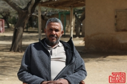 היופי של המדבר מתחיל בחאן ספינת המדבר