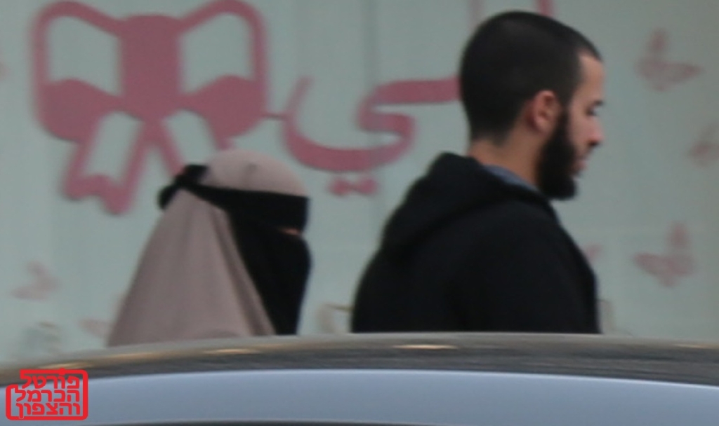 זרים בדאלית אל כרמל