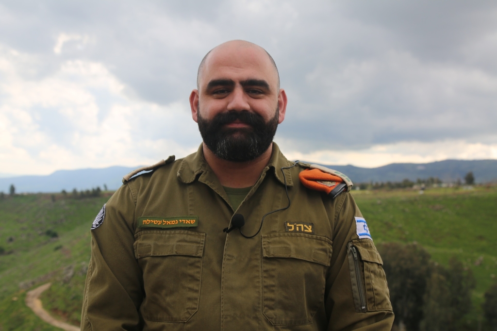 פורטל הכרמל