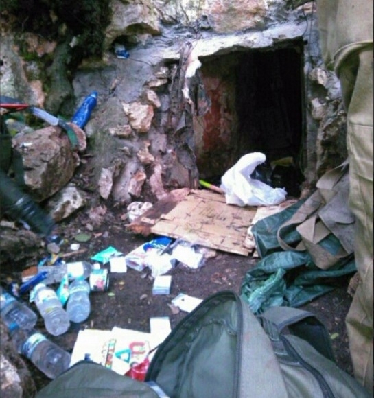 פורטל הכרמל