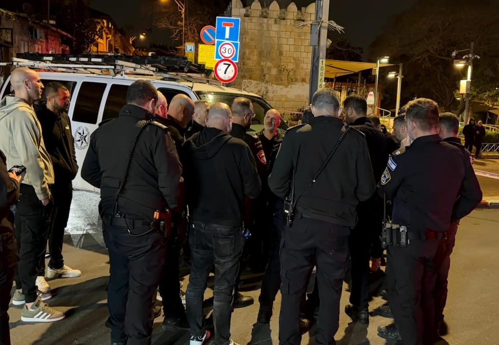 פורטל הכרמל