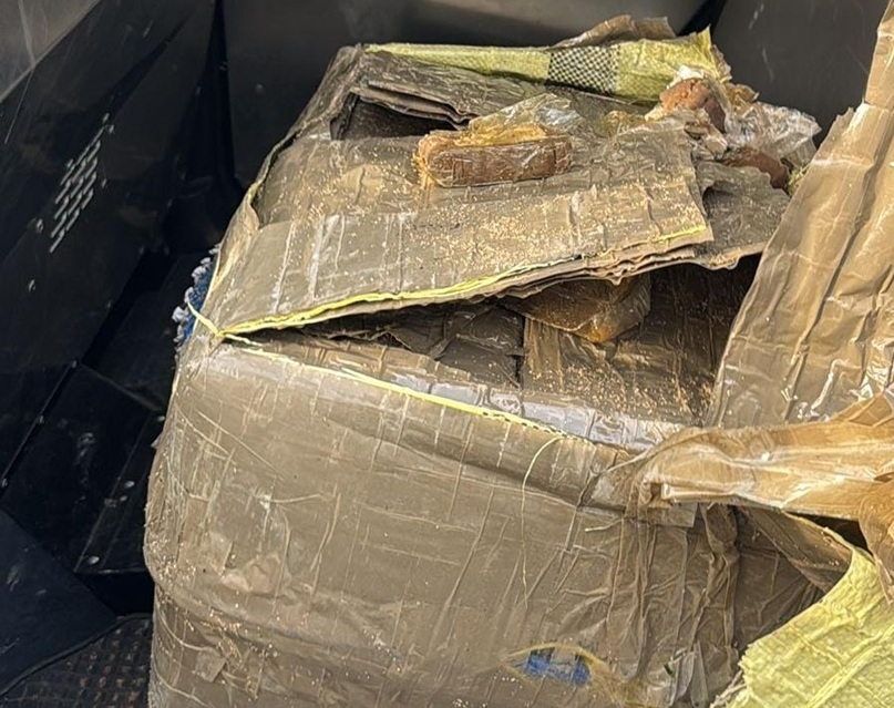 פורטל הכרמל