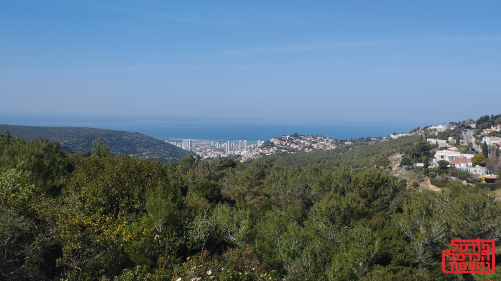 התכנית לפיתוח מפרץ חיפה