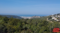 התכנית לפיתוח מפרץ חיפה