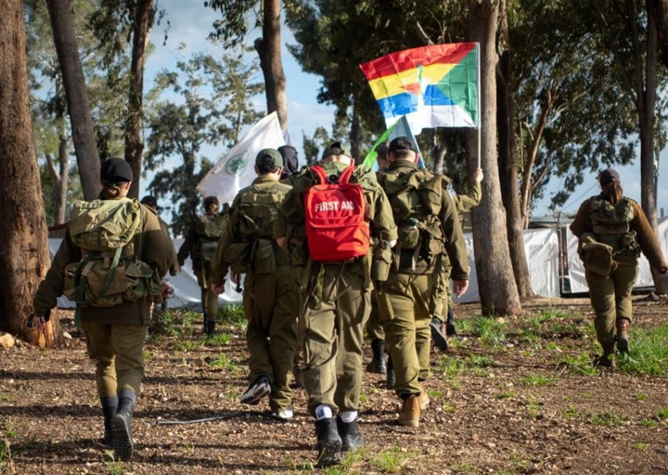 פורטל הכרמל