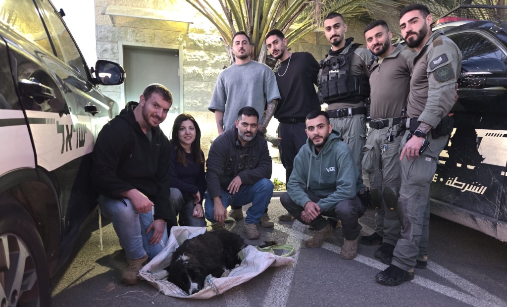 חירות לכלב לאקי