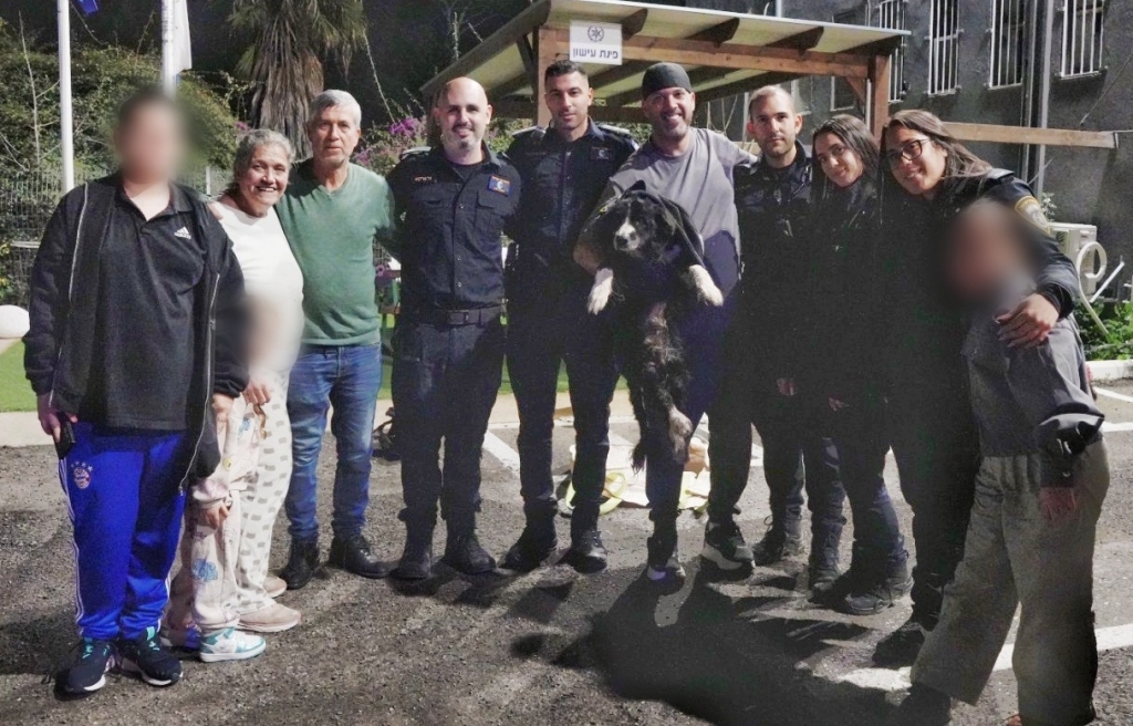 פורטל הכרמל