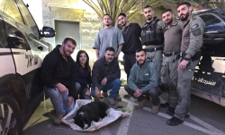 חירות לכלב לאקי