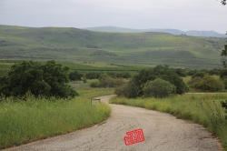 נחל משושים טבע יהודיה