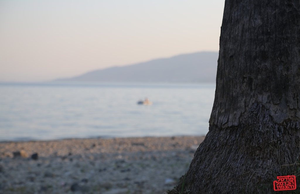 בזמן ספירת העומר