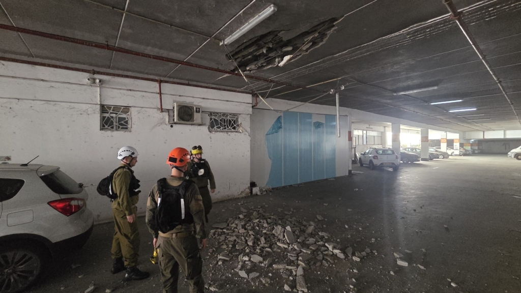 פורטל הכרמל