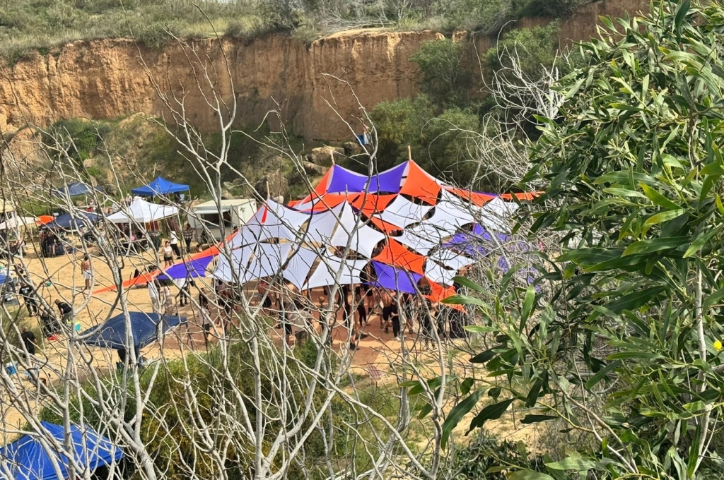 פורטל הכרמל