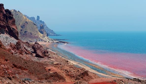 פורטל הכרמל