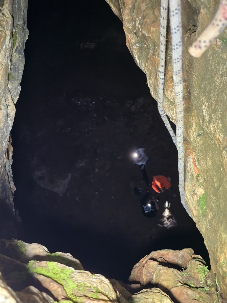 פורטל הכרמל