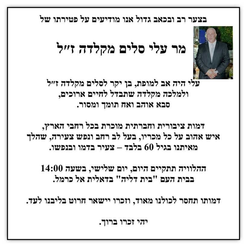 פורטל הכרמל