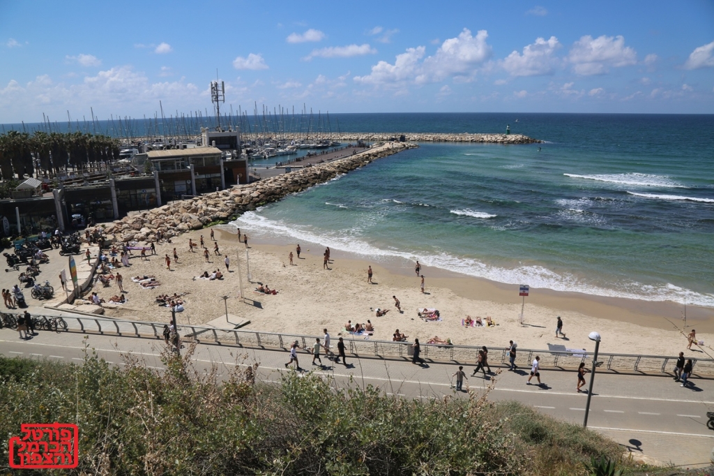 פורטל הכרמל