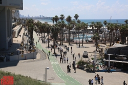 החוף המערבי של תל אביב חי ובועוט