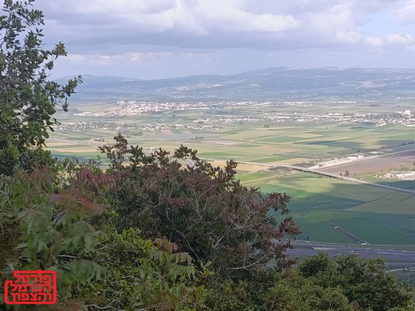 עמק יזרעאל נוף חקלאי